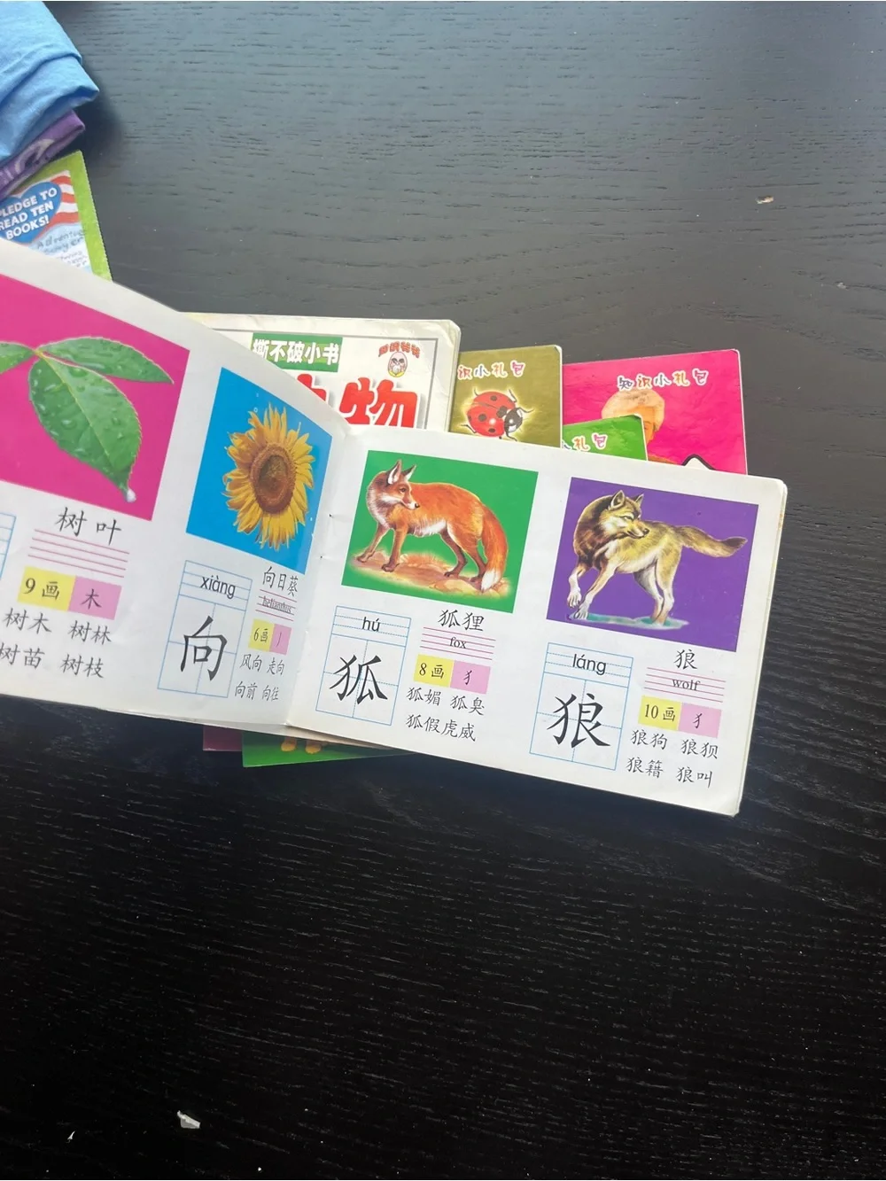 Chinese Children Early Learning Pocket Flash Card Books Set 806077421